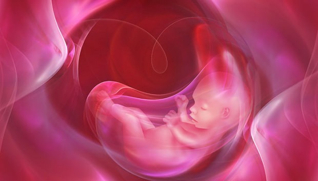 Wat is Placenta Previa? Hoe navelstrengverzorging bij baby's doen? Als de navelstreng lang is ...