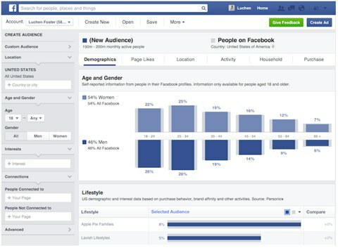 facebook publieksinzichten tool