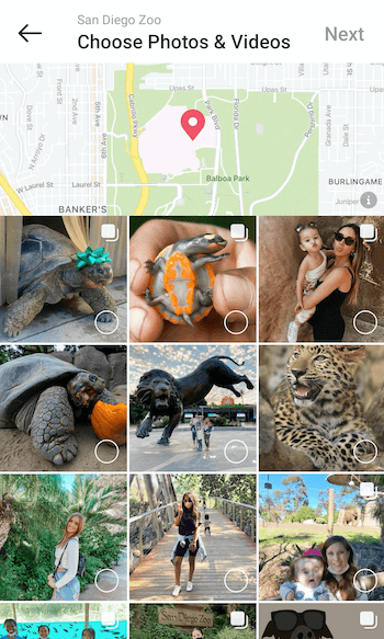 voorbeeld maak een instagram-plaatsengids voor @sandiegozoo bij de optie om foto's en video's te selecteren met verschillende voorbeeldberichten die ter selectie worden aangeboden