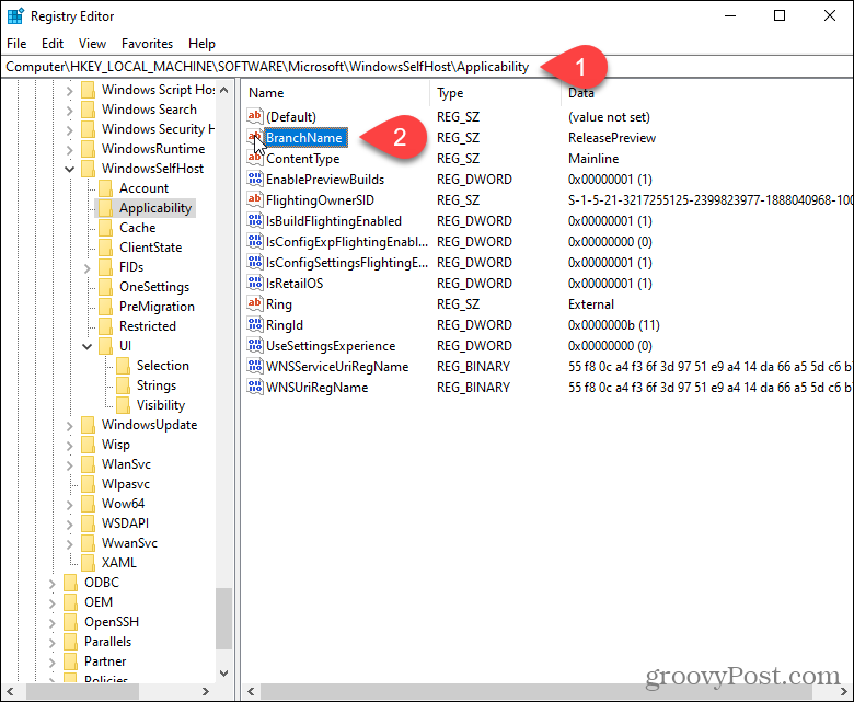 Dubbelklik op de BranchName-sleutel in het Windows-register