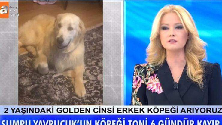 Presentator Müge Anlı kondigde aan: De hond van actrice Sumru Yavrucuk werd gevonden ...