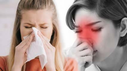Wat is allergische rhinitis? Wat zijn de symptomen van allergische rhinitis? Bestaat er een behandeling voor allergische rhinitis?