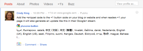 update van Google +1 fragment