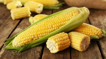 Wat zijn de nadelen van maïs?