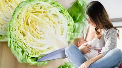 Maakt kool gas bij zogende moeder en baby? Kunnen moeders die borstvoeding geven koolsap drinken? 