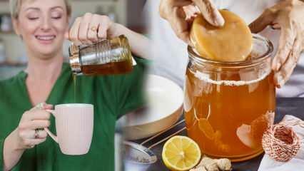 Verzwakt kombucha thee? Hoe maak je kombucha voor gewichtsverlies? Kombucha thee voordelen