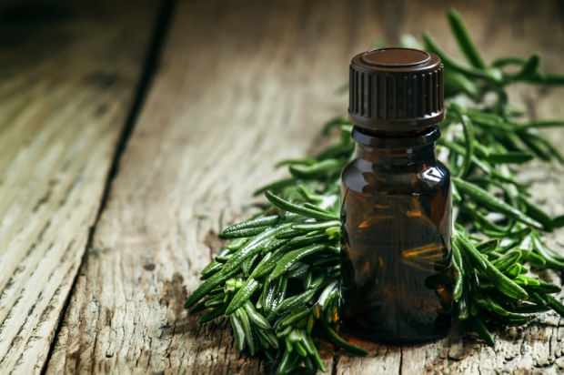 tea tree olie wordt gebruikt om acne en puistjes te behandelen