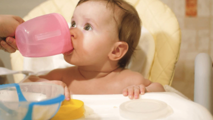 Wanneer krijgen baby's water? Wordt er water gegeven aan een baby die met flesvoeding wordt gevoed tijdens de overgang naar aanvullende voeding?