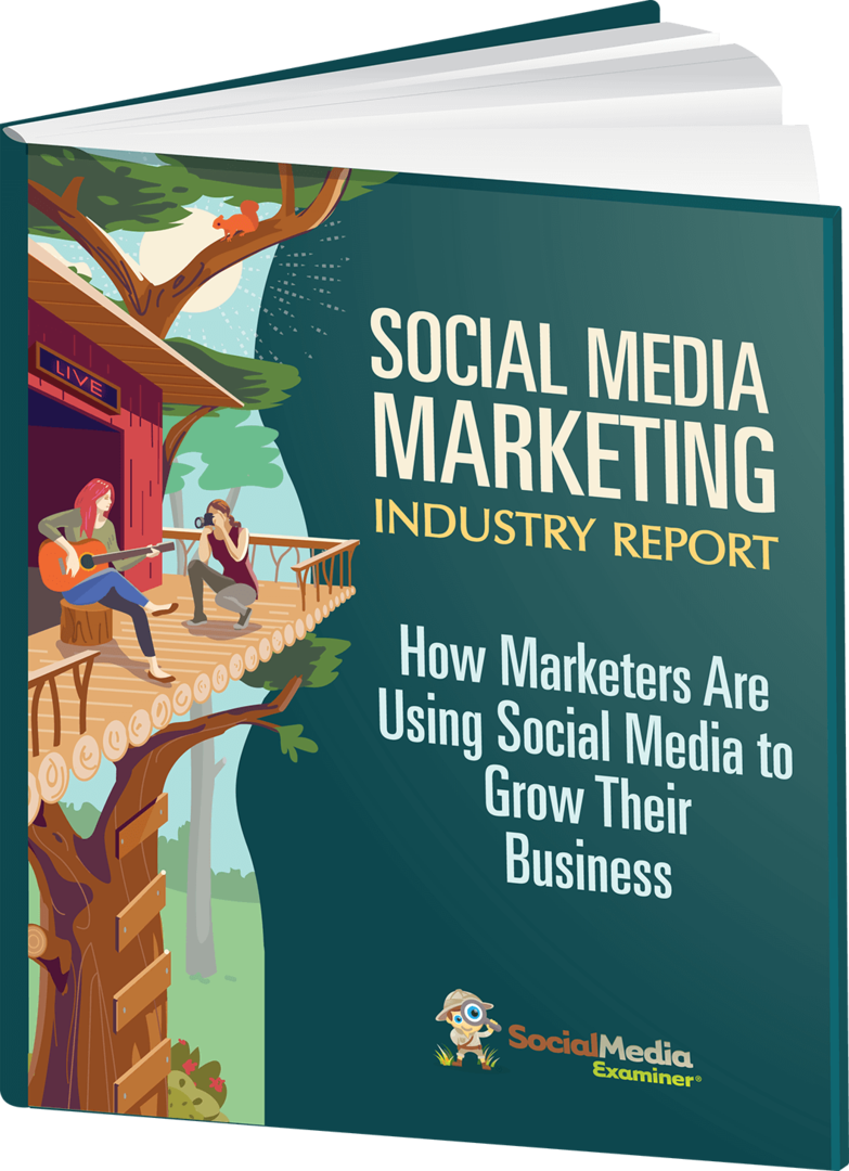 Verslag over de sociale media-marketingsector voor 2020.
