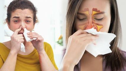 Wat is goed tegen verstopte neus? Medicijnvrije oplossing voor verstopte neus!