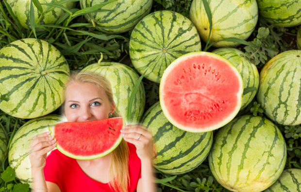 wat is watermeloen dieet