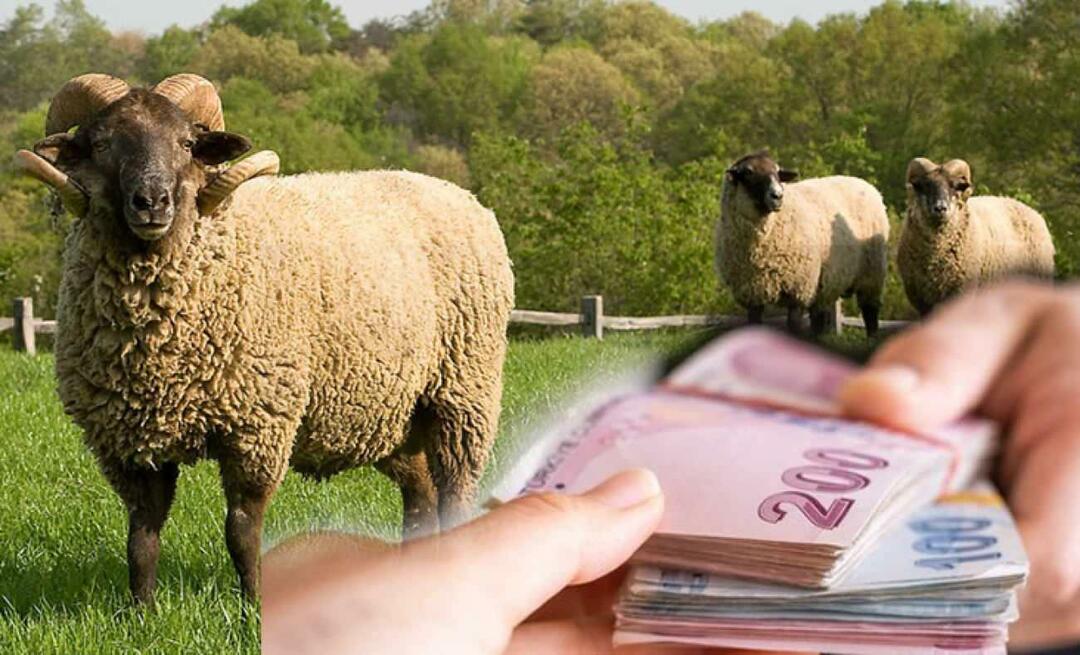 Kan er financiële steun worden gegeven aan slachtoffers van aardbevingen in plaats van aan votiefslachtoffers?