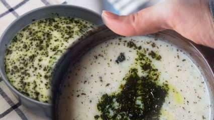 Hoe maak je spinaziesoep met yoghurt? Recept voor yoghurt-spinaziesoep waarmee u uw buren zult verrassen