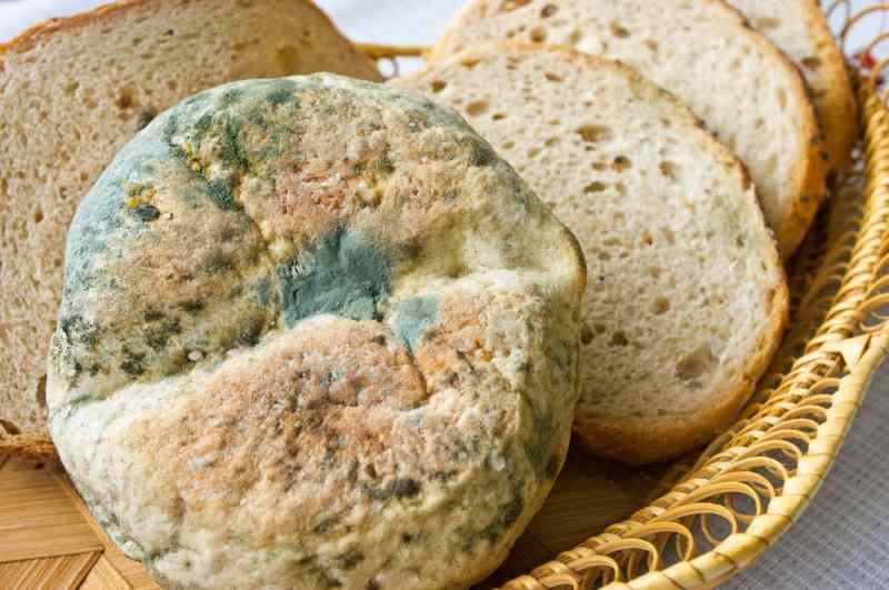 Manieren om te voorkomen dat brood muf en beschimmeld wordt