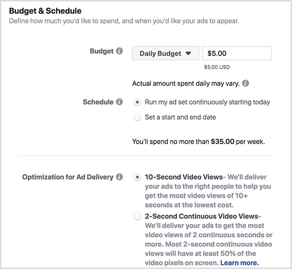 Het advertentiebudget en de schema-opties van Facebook omvatten een dagbudget en weergaven van 10 seconden.
