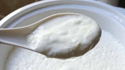 Wat is de gemakkelijke manier om yoghurt te zetten? Thuis yoghurt maken als steen! Het voordeel van thuisyoghurt