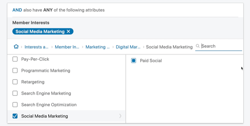 voorbeeld linkedin advertentiecampagne doelgroep 'en' attribuutset met de interesses van leden van socialemediamarketing