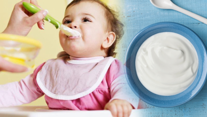 Hoe maak je yoghurt voor baby's? Zelfgemaakte fruityoghurtrecepten voor baby's