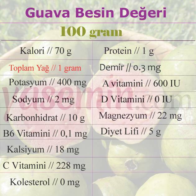 guave voedingswaarde