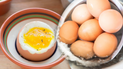 Wat zijn de voordelen van een laag gekookt ei? Als je twee gekookte eieren per dag eet ...