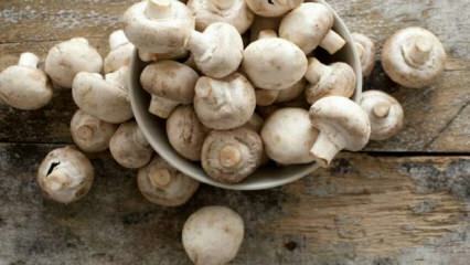 Hoe gemakkelijk paddenstoelen verwijderen?
