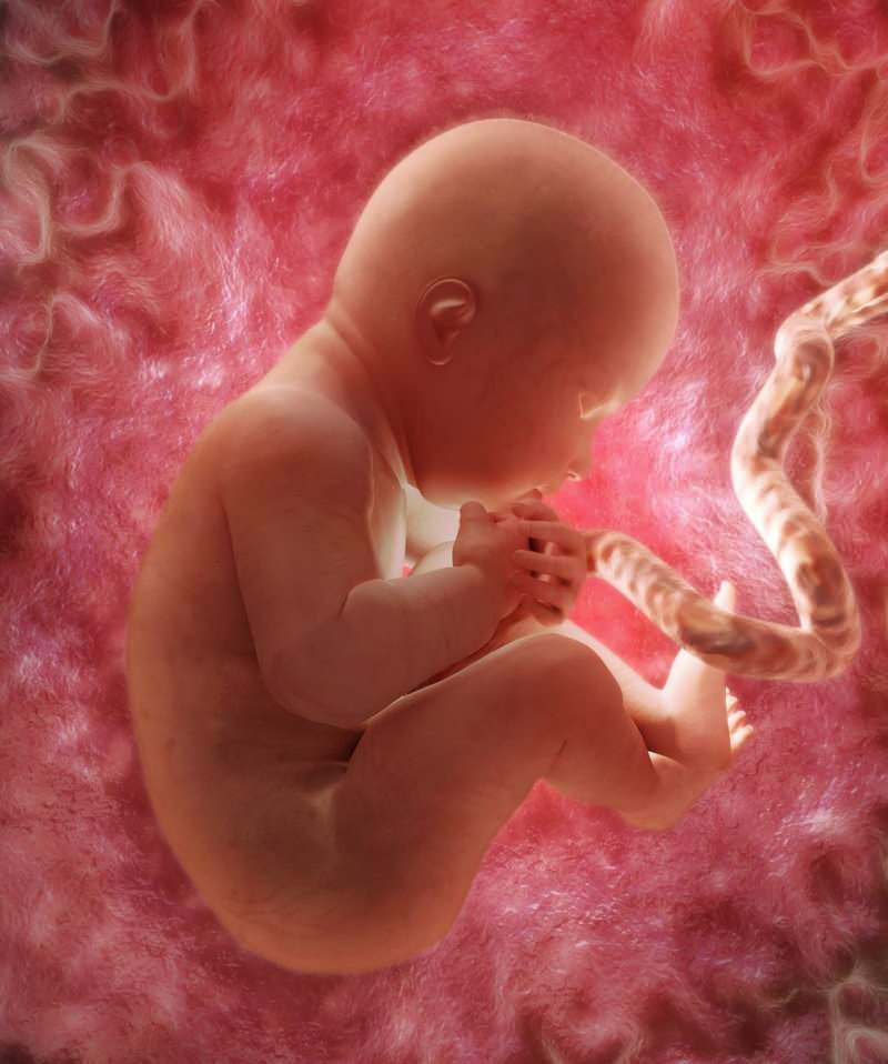 Veroorzaakt bloedarmoede tijdens de zwangerschap?
