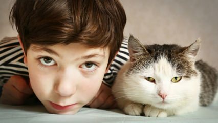 Wat is het effect van huisdieren op kinderen?