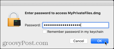 Voer het wachtwoord in om het schijfkopiebestand te openen