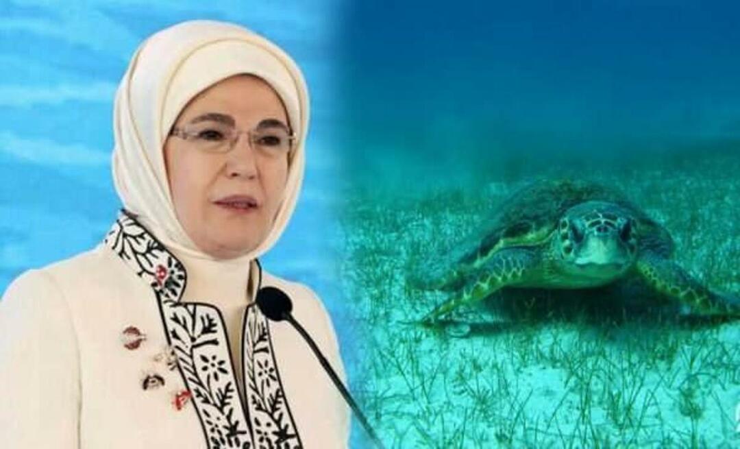 "Zeeschildpad" delen van Emine Erdoğan: "Zolang we ze beschermen, zullen ze blijven leven"