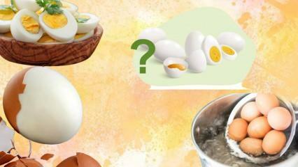 Gekookt Ei Dieet! Houdt het ei je vol? 12 kilo in een week 