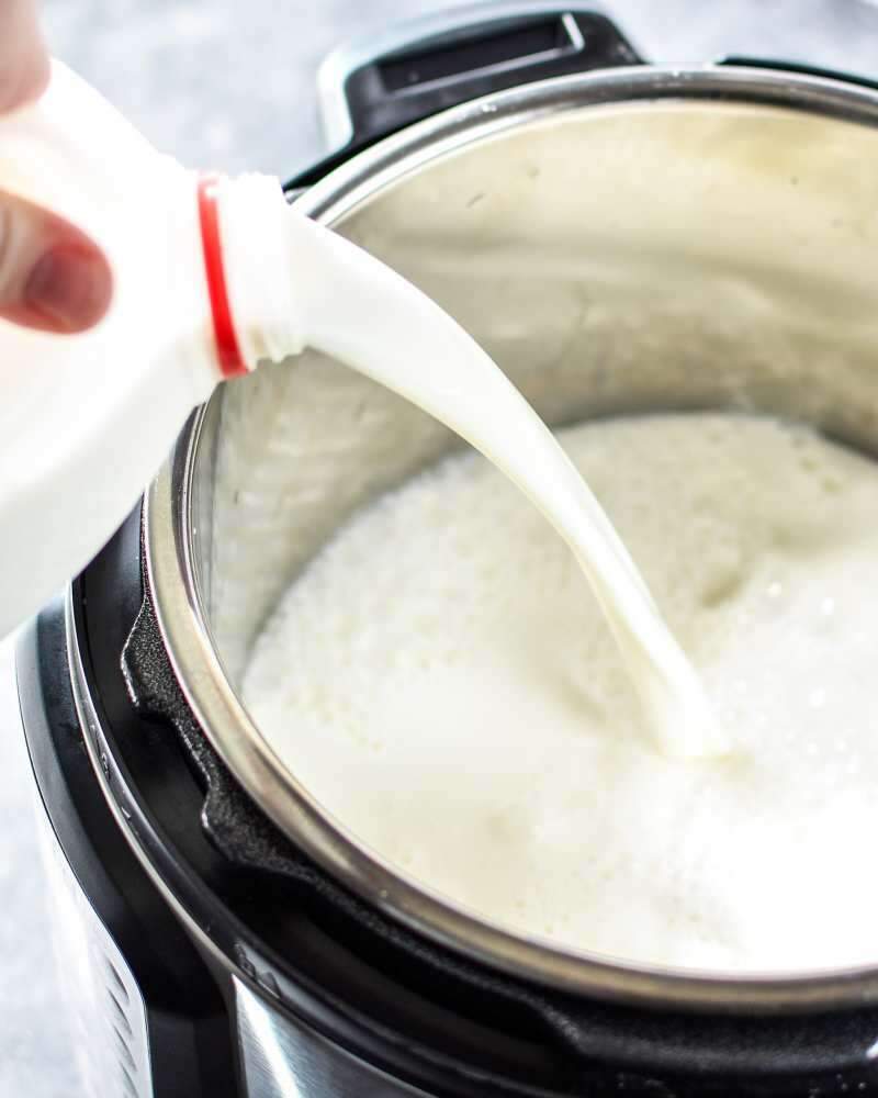 Het is moeilijk om de consistentie van waterbuffel-yoghurt te behouden
