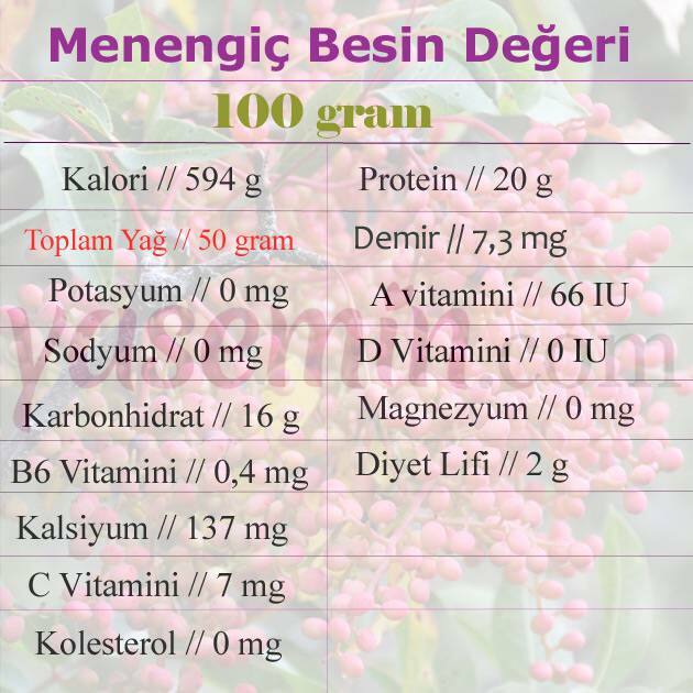 voedingswaarde van menengiç 