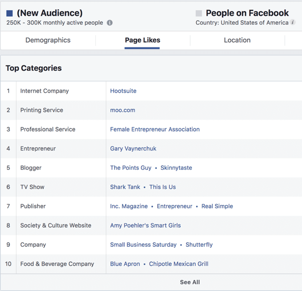 Pagina houdt van voor een op interesses gebaseerd publiek in Facebook Ads Manager.
