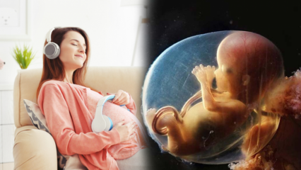 De meest getroffen stem van de baby in de baarmoeder! Wat leren en doen baby's in de baarmoeder van hun moeder?