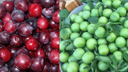 Wat zijn de voordelen van groene en rode kersenpruim? Wat doet rode kersenpruimensap?