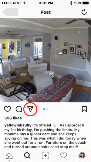 Als Nest contact wilde opnemen met deze Instagram-gebruiker voor toestemming om hun inhoud te gebruiken, konden ze communicatie starten door op het pictogram voor directe berichten te tikken.