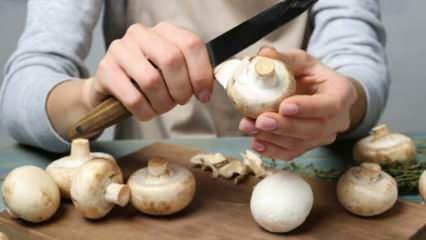 Hoe champignons schillen? Hoe het zwart worden van de paddenstoel te voorkomen, wat zijn de trucs