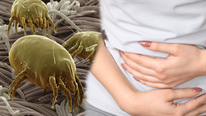 Waar is het smerigste deel van het lichaam en hoe wordt het schoongemaakt? Welke ziekten worden veroorzaakt door parasieten? 