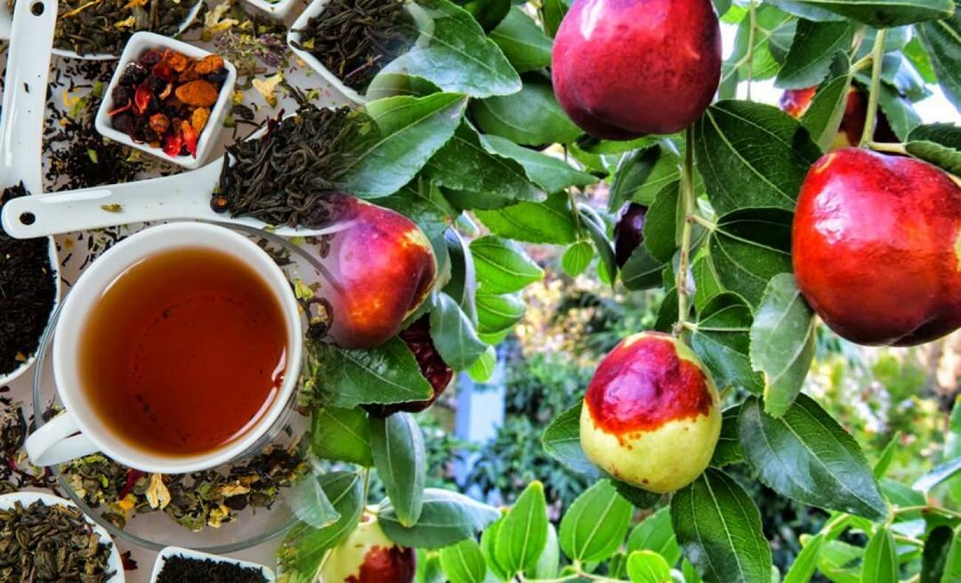 Wat zijn de voordelen van jujube-thee aanbevolen door Ibn Sina? Waar is jujube-thee goed voor?