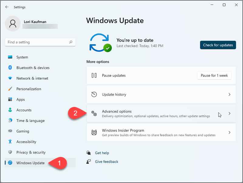 Ga naar Windows Update > Geavanceerde opties in Windows 11 Instellingen