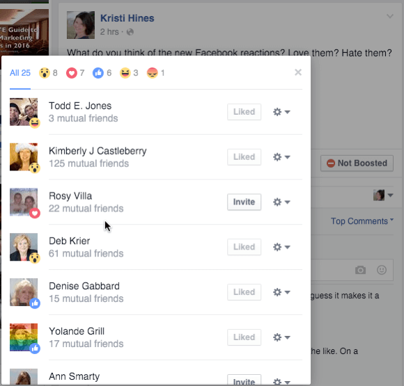 Facebook reacties details van een bericht