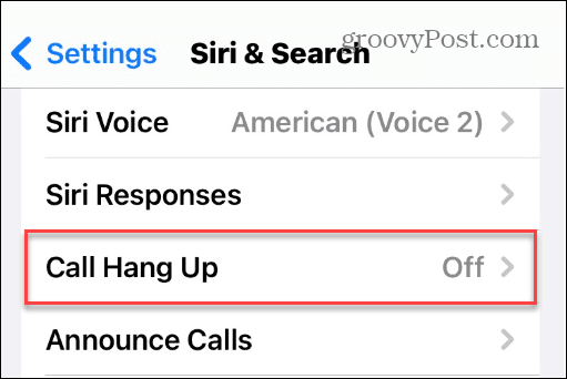 Hang op bij telefoon- en FaceTime-oproepen met Siri