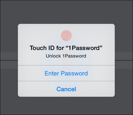Touch ID-integratie iOS 8