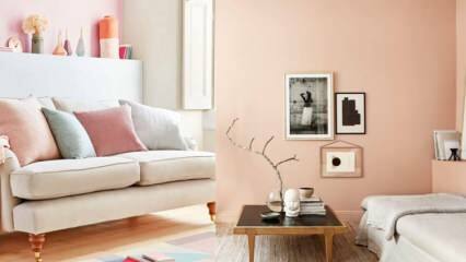 Suggesties voor huisdecoratie die gemaakt kunnen worden met zalmkleur