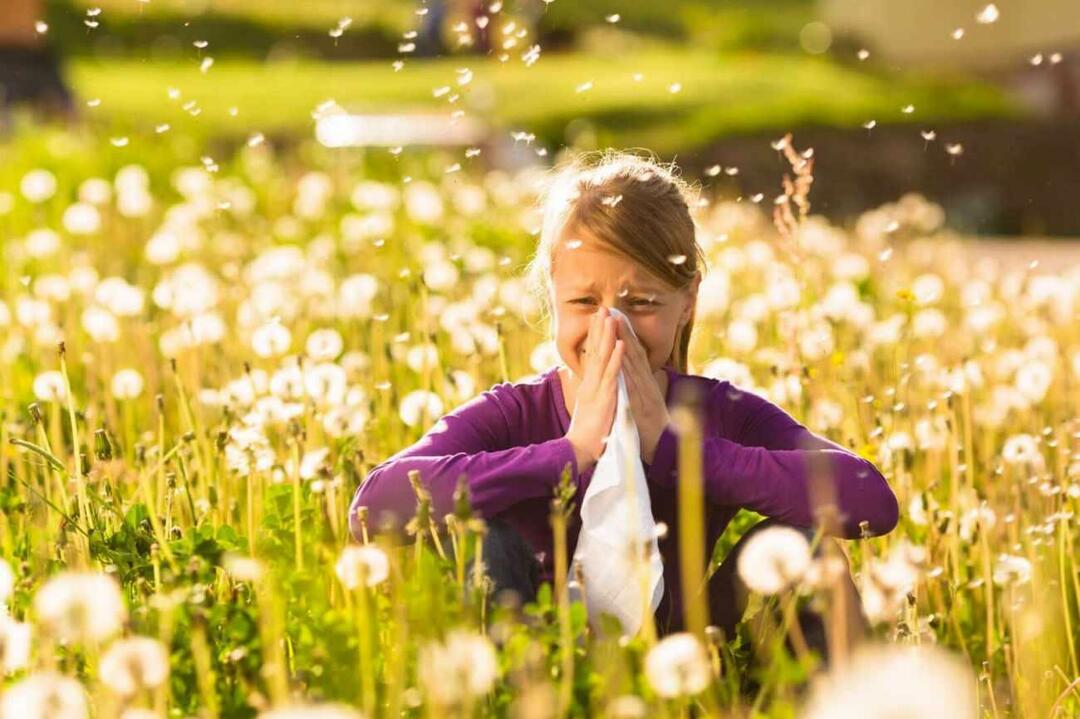 Waar u rekening mee moet houden om kinderen te beschermen tegen seizoensgebonden allergieën