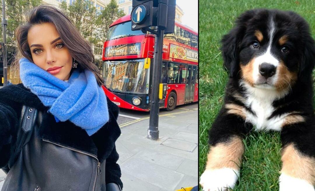 Actrice Tuvana Türkay gaf haar leven voor haar hond!