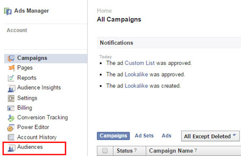 het selecteren van doelgroepen in Facebook Ads Manager