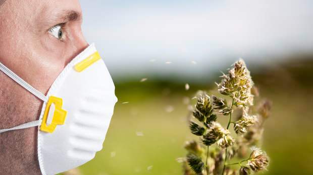 lente-allergie wordt veroorzaakt door pollen, huisdieren, verhoogde temperatuur en stof