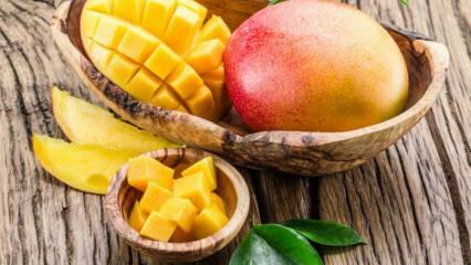 Wat zijn de voordelen van Mango? Voor welke ziekten zijn mango's goed? Wat gebeurt er als je gewone mango's consumeert?