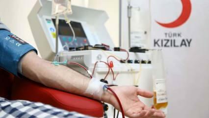 Waar en hoe bloed doneren? Wat zijn de voorwaarden voor het doneren van bloed?